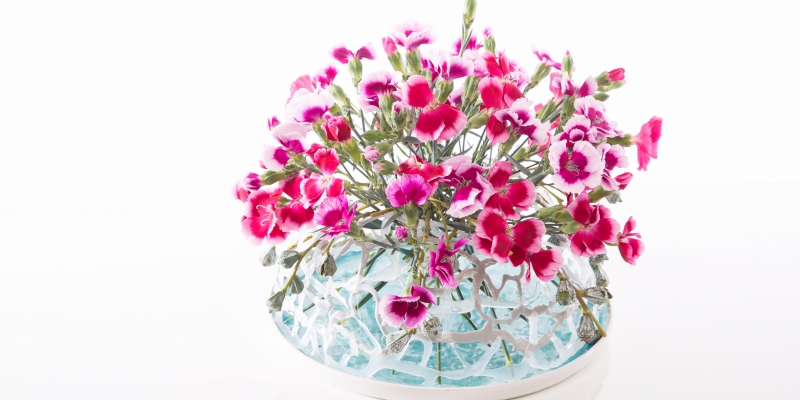 Surprising Solomio design