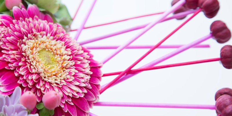 Passion heart - close up