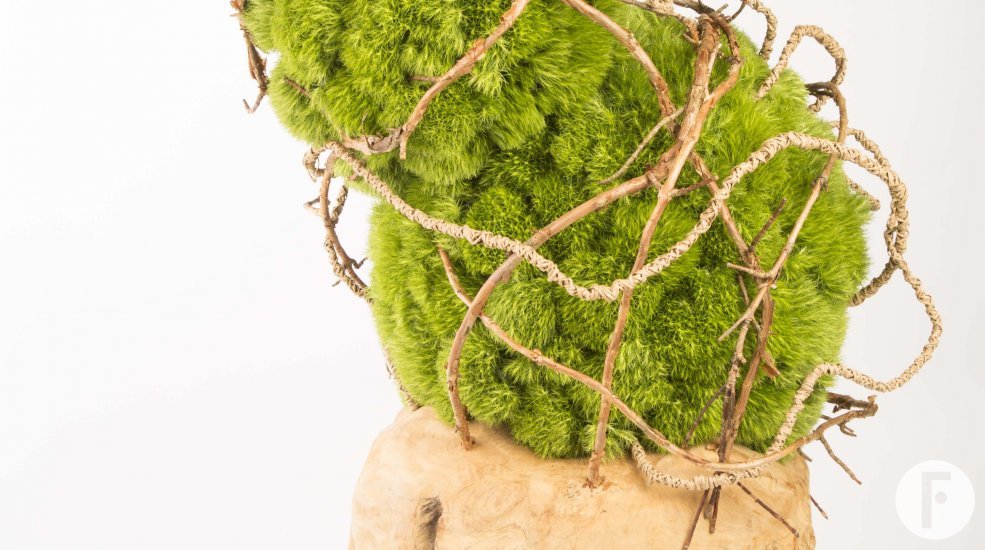 foto tutorial 1 totaal