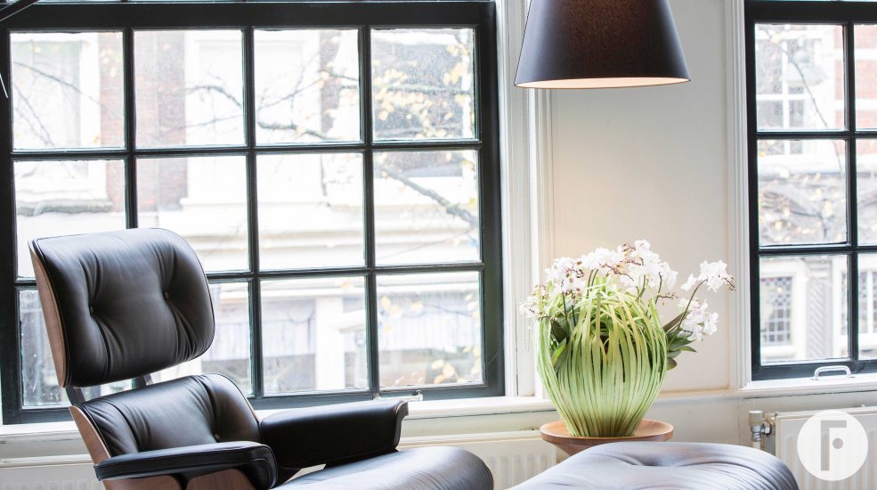 phalaenopsis in the livingroom