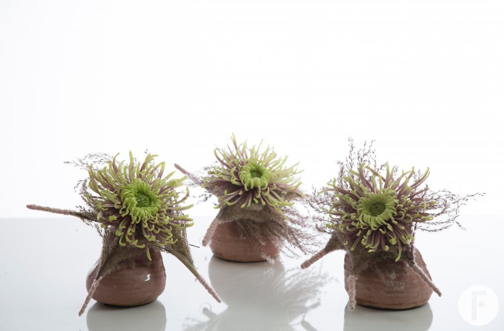 deliflor Baltazar Roos van Unen FF2 sRGB