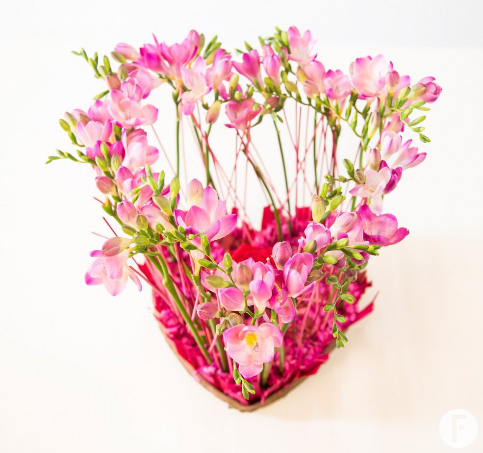 freesia hart Nelleke Bontje Flower Factor