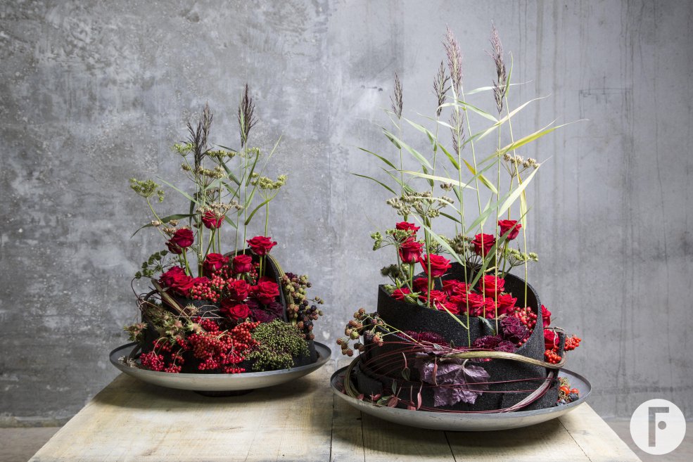 klaus wagener 651 Low