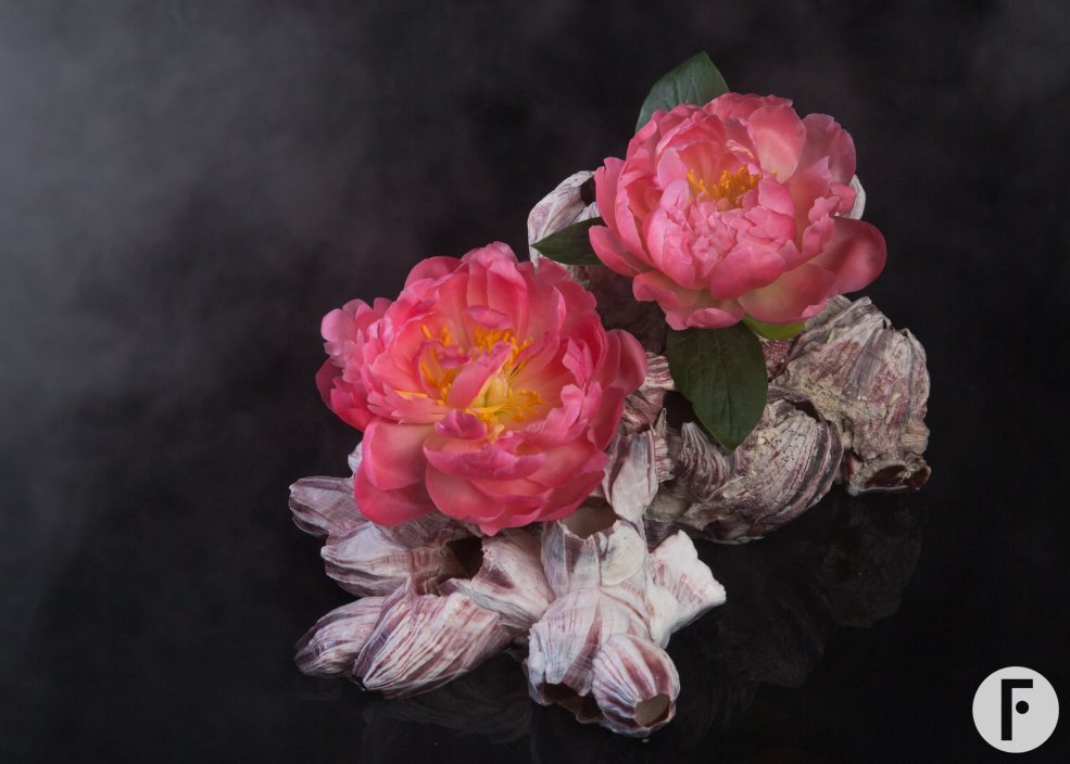 mypeony natures luxury 3