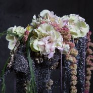 Close-up van de Hydrangea kandelaar