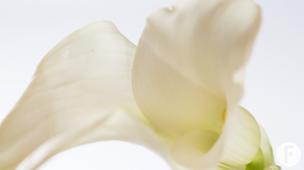 13a Calla Captain Ventura