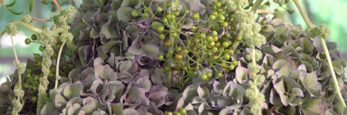 a luxurious Hydrangea centrepiece
