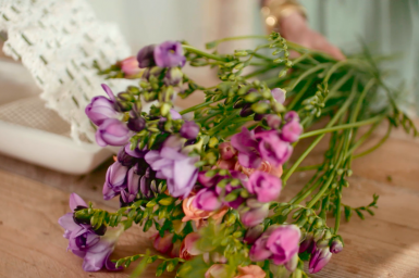 Fresh Freesia design