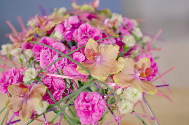 Dianthus boeket in frame