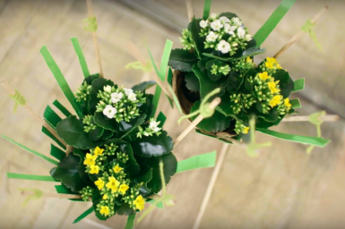 een cool Kalanchoë design