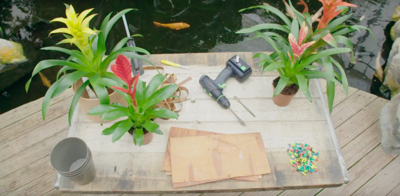 Vrolijke Bromelia designs