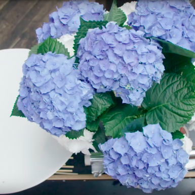 Hortensia frame boeket