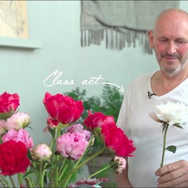 Italian-style pioenen