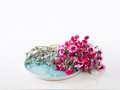 Photo tutorial Surprising Solomio