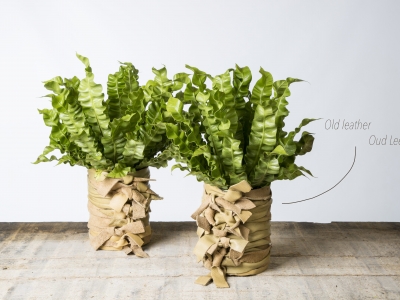 Pim's blog: Upcycling