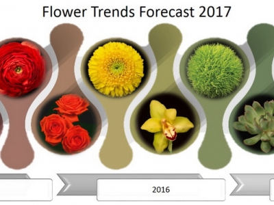 Flower Trends Evolve for 2017
