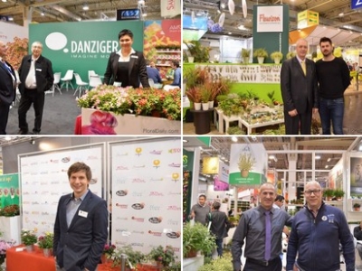 Floral Daily photo report IPM Essen 2017