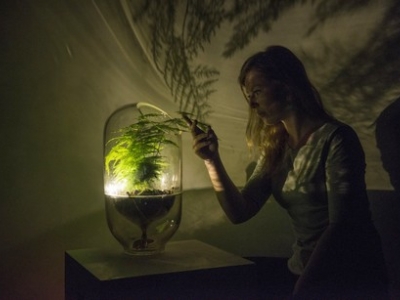 Let it Grow Lab van start