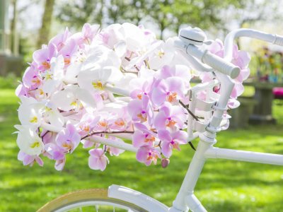 Bloemen maken de bruiloft!