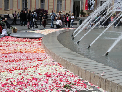 Korte impressie van de de Europa Cup 2016 voor bloemisten in Genua Italië