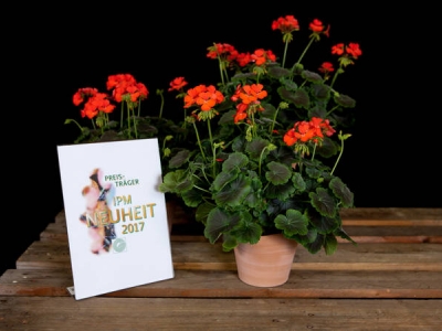 IPM Essen toont noviteiten aan vakpubliek