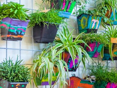 Planten in de klas voorkomen ziekteverzuim