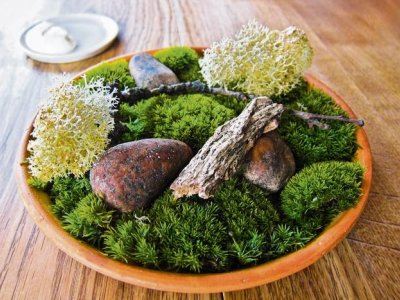 Mosmanie: "Het lijkt wel een trend"