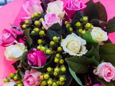 "Verhogen lichtniveau zorgt voor betere groei en hogere kwaliteit"