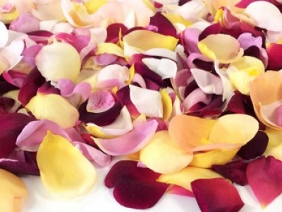 Nieuwe geurende en eetbare rozen op de markt