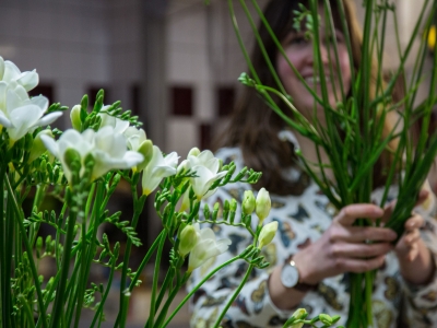 Flower Factor is going to freestyle for Fabulous Freesia