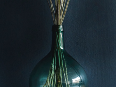 Sissy-Boy en Dille & Kamille