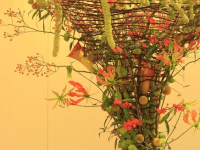 Finalisten VBW Flowercup 2016 bekend