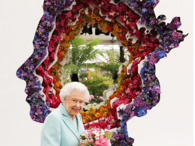 Insta pics Chelsea Flower Show & the new Chrysanthemum 'Rossano Charlotte'