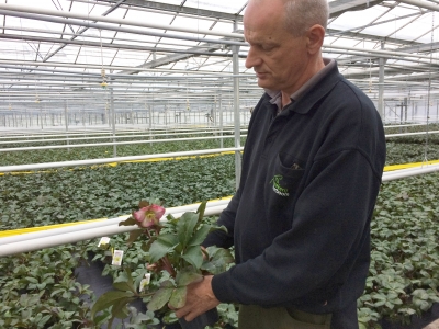 “Our plants are greatly valued, that's a dream come true"