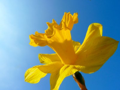 In Engeland is het bijna moederdag